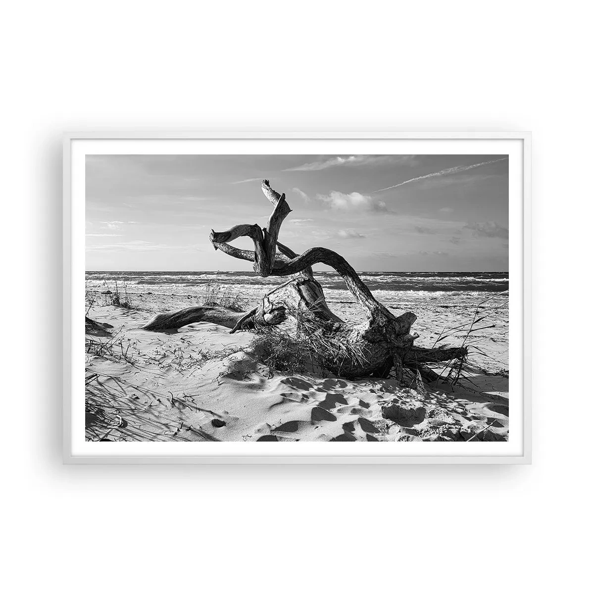 Poster în ramă albă - Sculptură marină - 100x70 cm