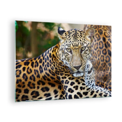Tablou pe sticlă - Un leopard sălbatic se odihnește printre verdeață - 70x50cm - Sălbatic și liniștit - Decorațiune modernă pentru perete pentru living și dormitor ARTTOR