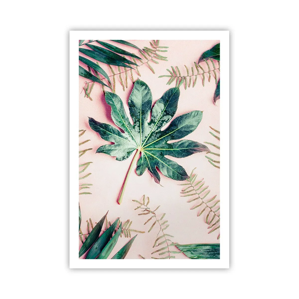 Poster - Studiu de verdeață pe un fundal roz - 61x91 cm