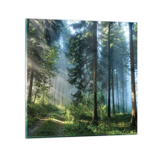 Tablou pe sticlă - Strălucirea de dimineață - 30x30 cm