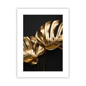 Poster - Comorile naturii - 30x40 cm