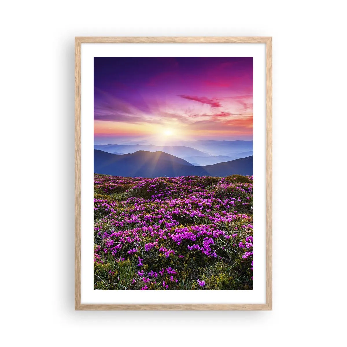 Poster în ramă de stejar deschis - Ierburile proaspete miroseau puternic - 50x70 cm