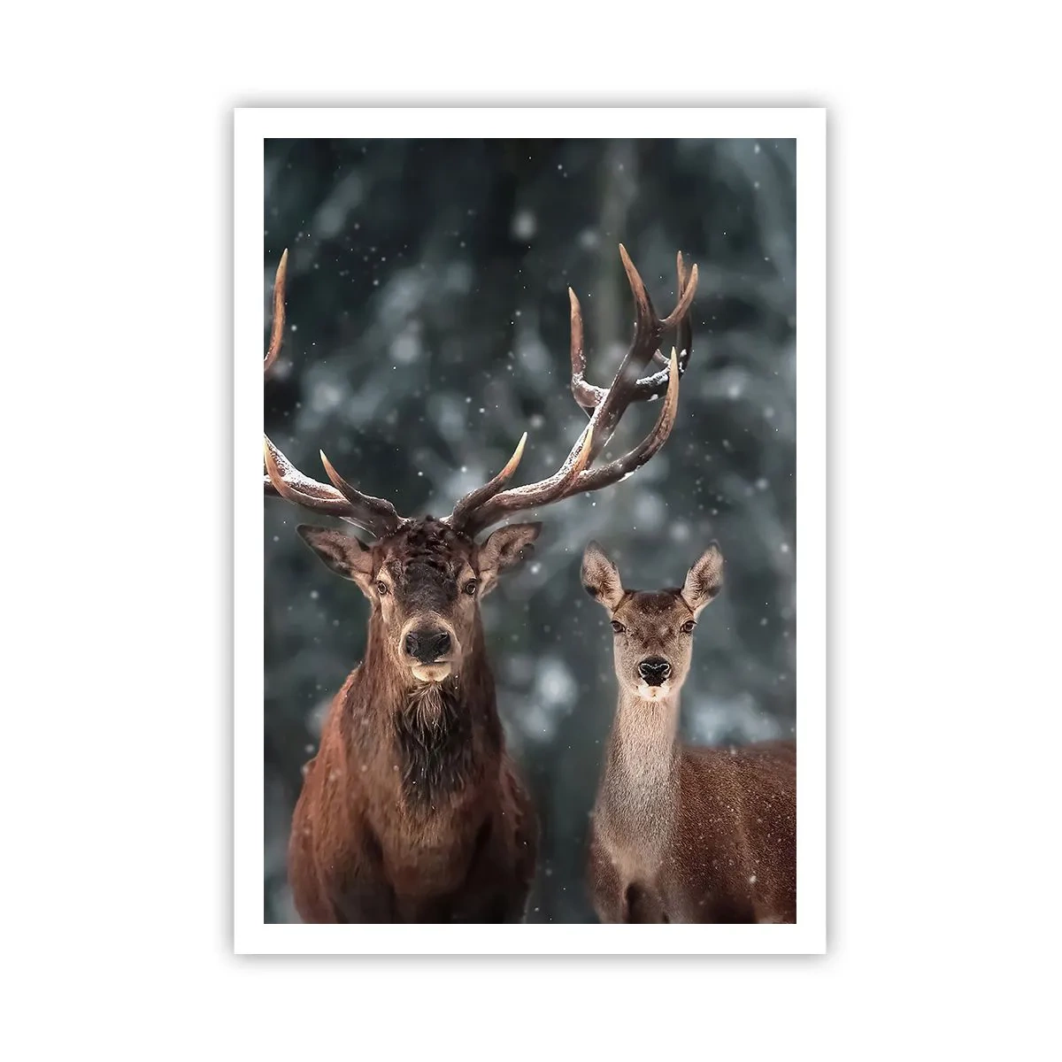 Poster - Stăpânul pădurii și soția sa - 70x100 cm