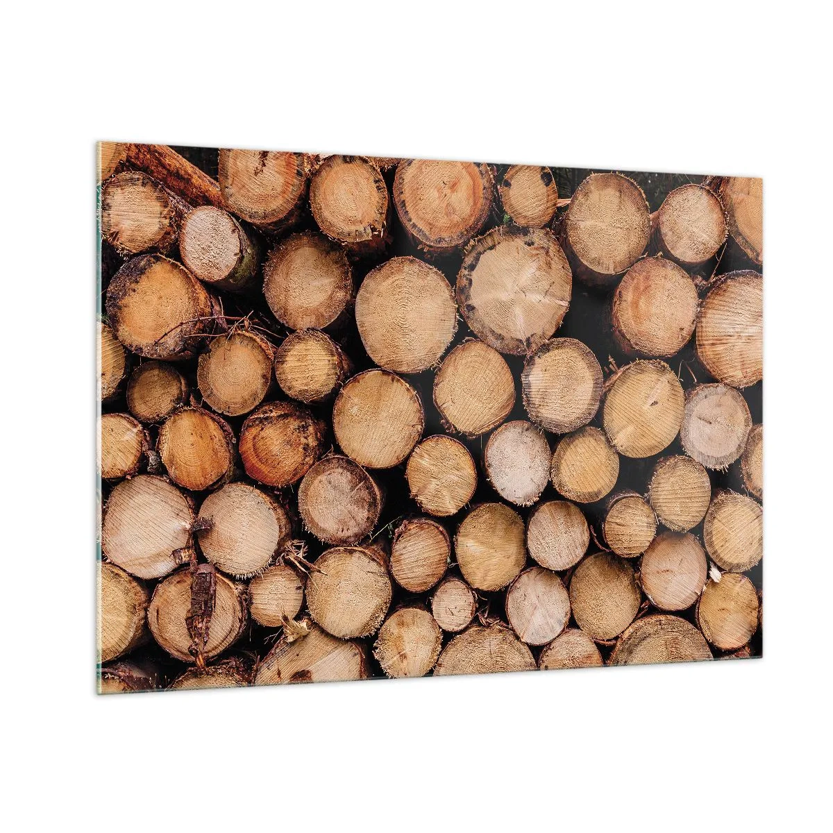 Tablou pe sticlă - Un nou început - 100x70 cm