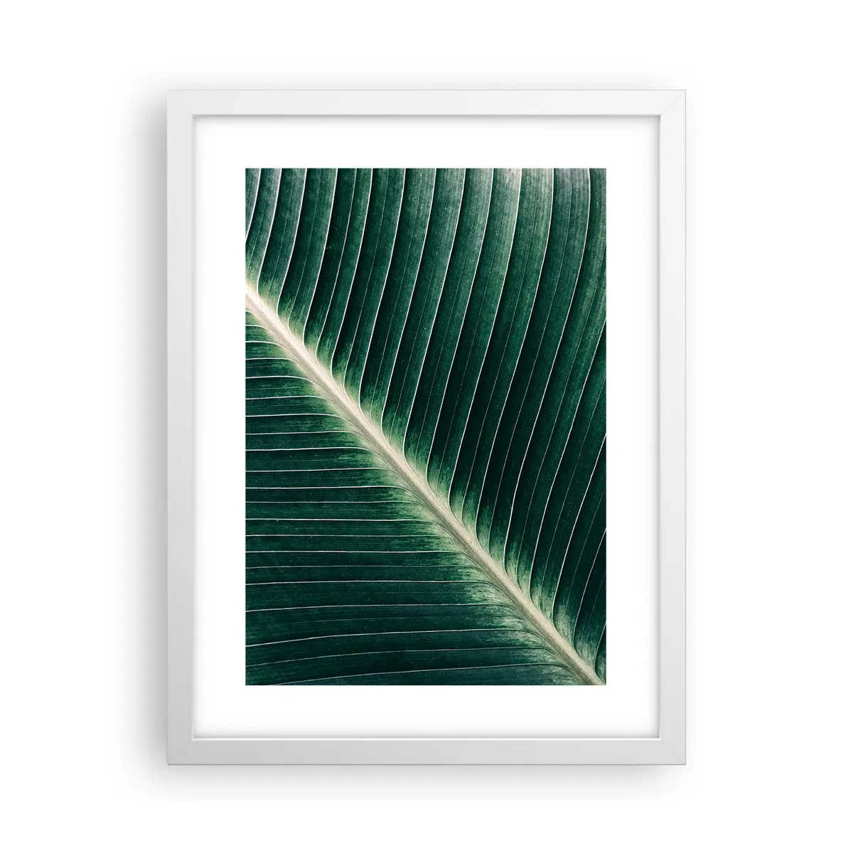 Poster în ramă albă - Ritmul naturii - 30x40 cm