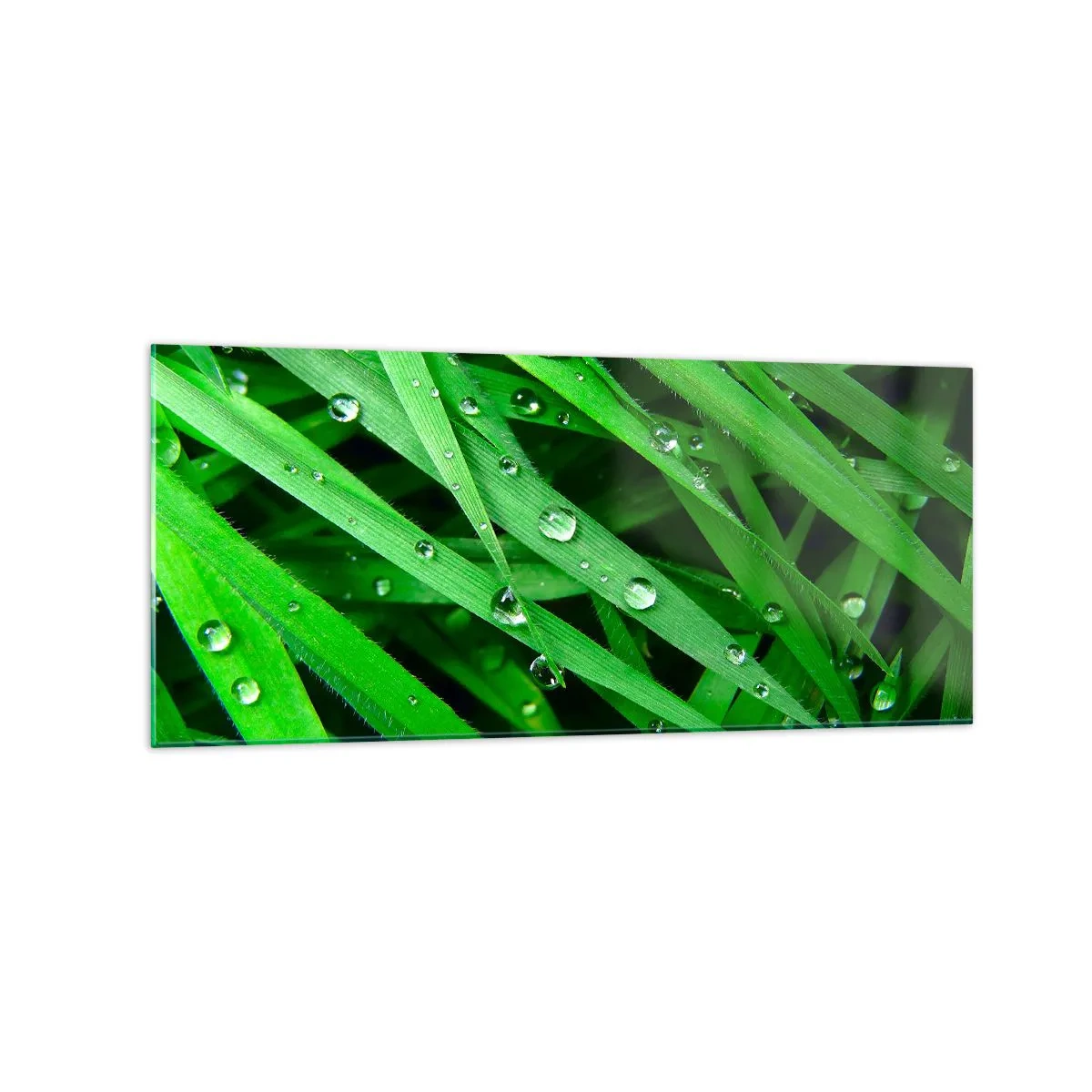 Tablou pe sticlă - Joacă de-a verdele - 120x50 cm