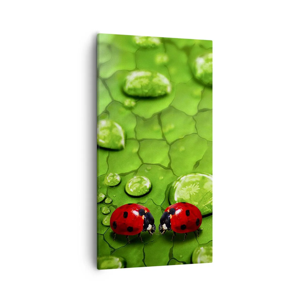 Tablou pe pânză - Întâlnire în verde - 55x100 cm