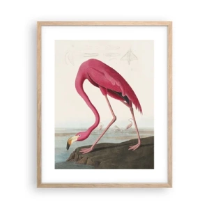 Poster în ramă de stejar deschis - O creatură uimitoare - 40x50 cm