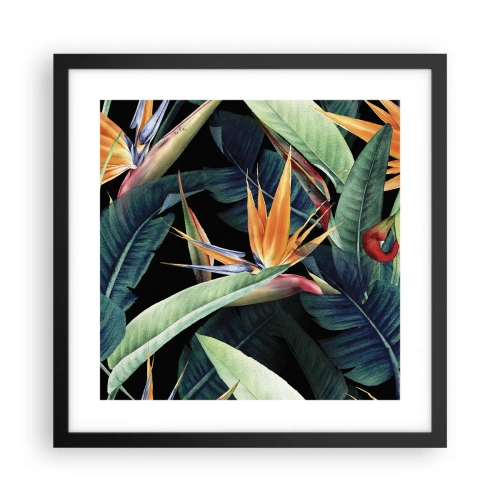 Poster în ramă neagră - Florile de flacără ale tropicelor - 40x40 cm