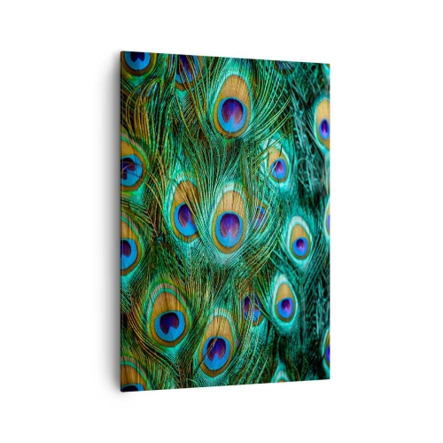 Tablou pe pânză - O privire cu ochi de păun - 70x100 cm