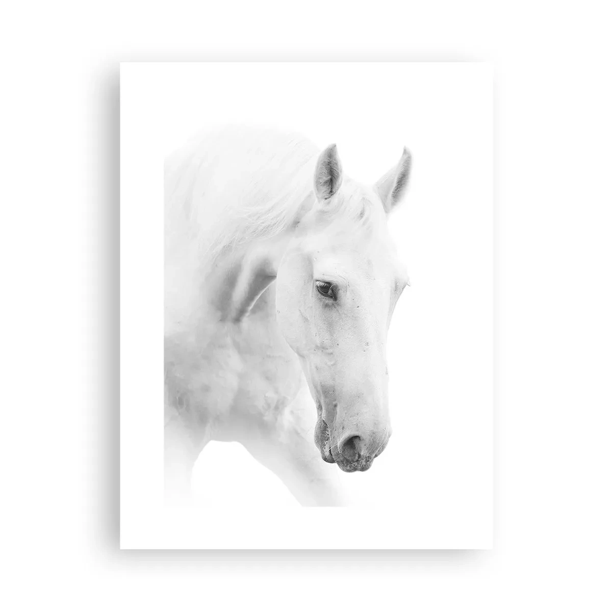 Poster - Este aceasta o prietenie...? - 30x40 cm