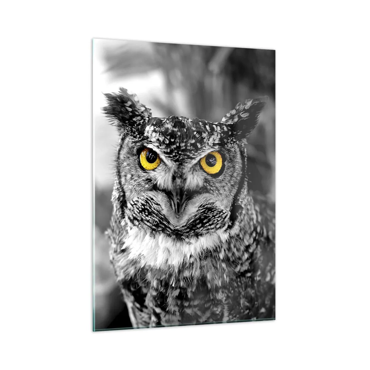 Tablou pe sticlă - Nimic nu poate fi ascuns - 50x70 cm