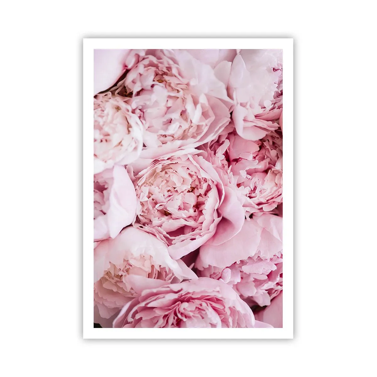 Poster - Îmbrățișate și parfumate - 70x100 cm