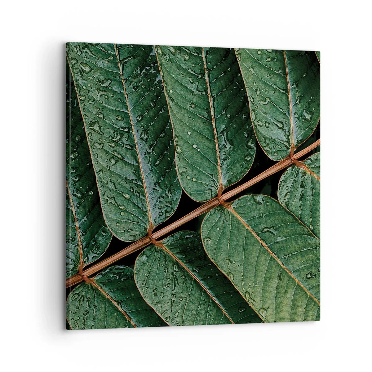 Tablou pe pânză - Într-un ritm verde - 60x60 cm