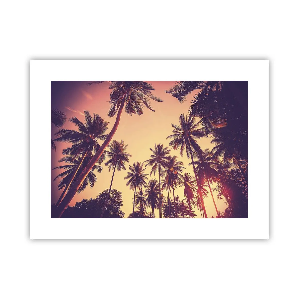 Poster - Variație tropicală - 40x30 cm