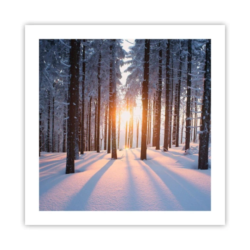 Poster - În mod clar în alb și negru - 50x50 cm