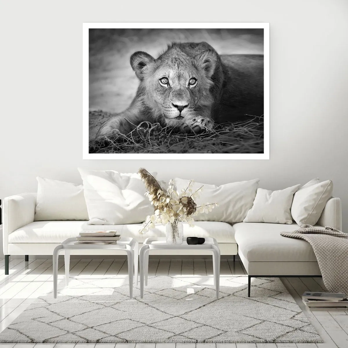Poster - Pisicuța regală - 70x50 cm