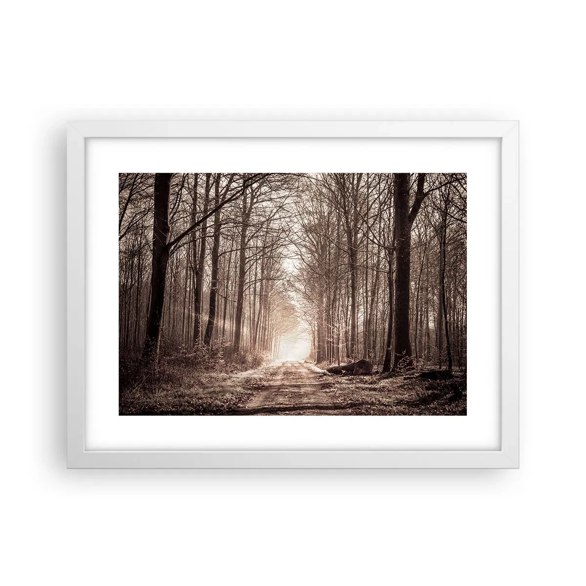 Poster în ramă albă - Catedrala Forestieră - 40x30 cm