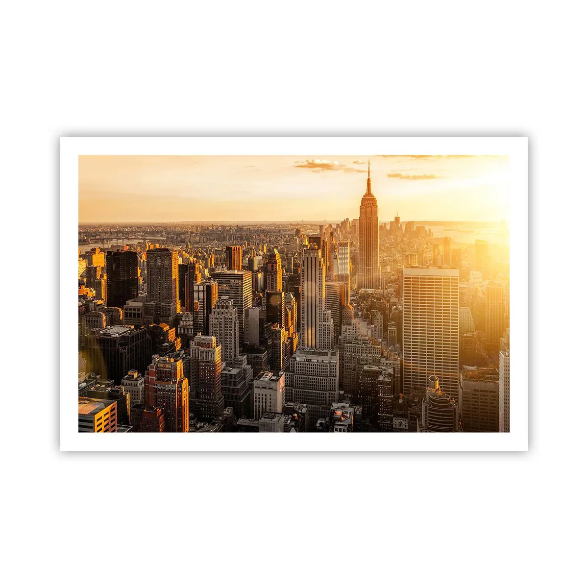 Poster - Crescând la soare - 91x61 cm