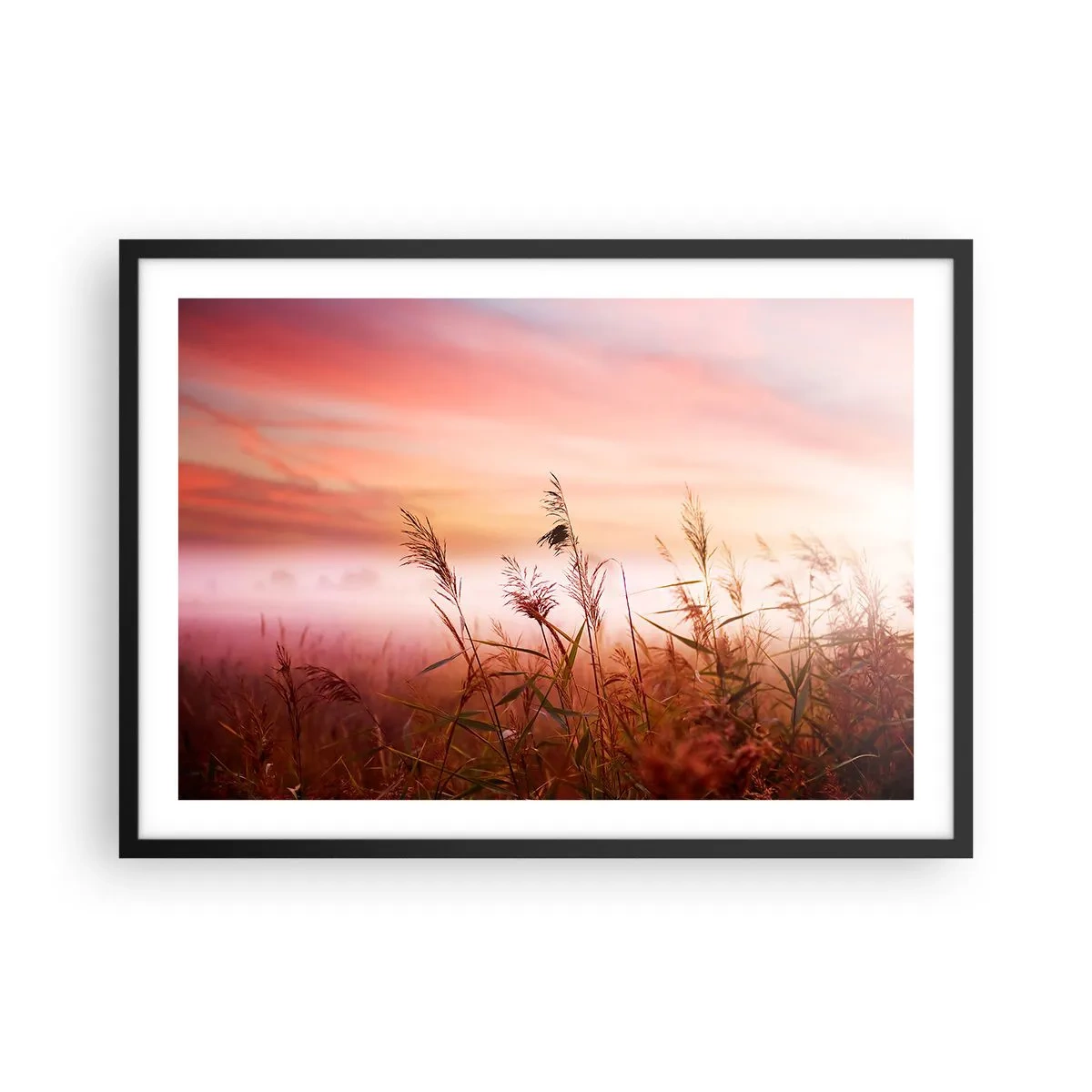 Poster în ramă neagră - Zmeuri, suflante, vânt - 70x50 cm