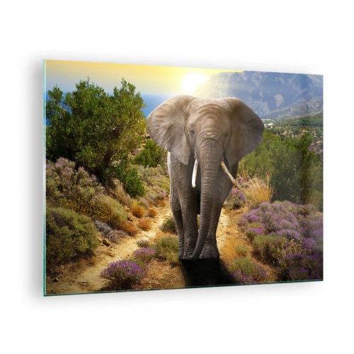Tablou pe sticlă - Un elefant pe fundalul unui peisaj montan la apus - 70x50cm - Iată cum arăta Edenul - Decorațiune modernă pentru perete pentru living și dormitor ARTTOR