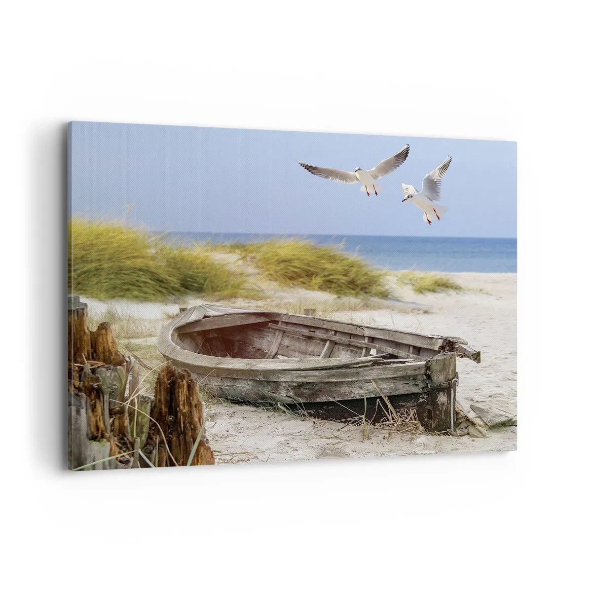 Tablou pe pânză - Scăldate în vânt - 100x70 cm