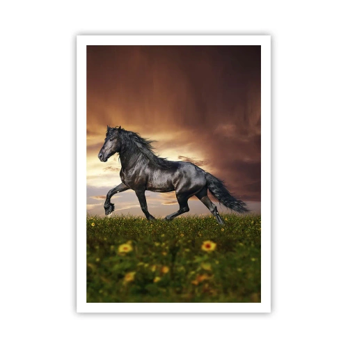 Poster - Prințul negru - 70x100 cm