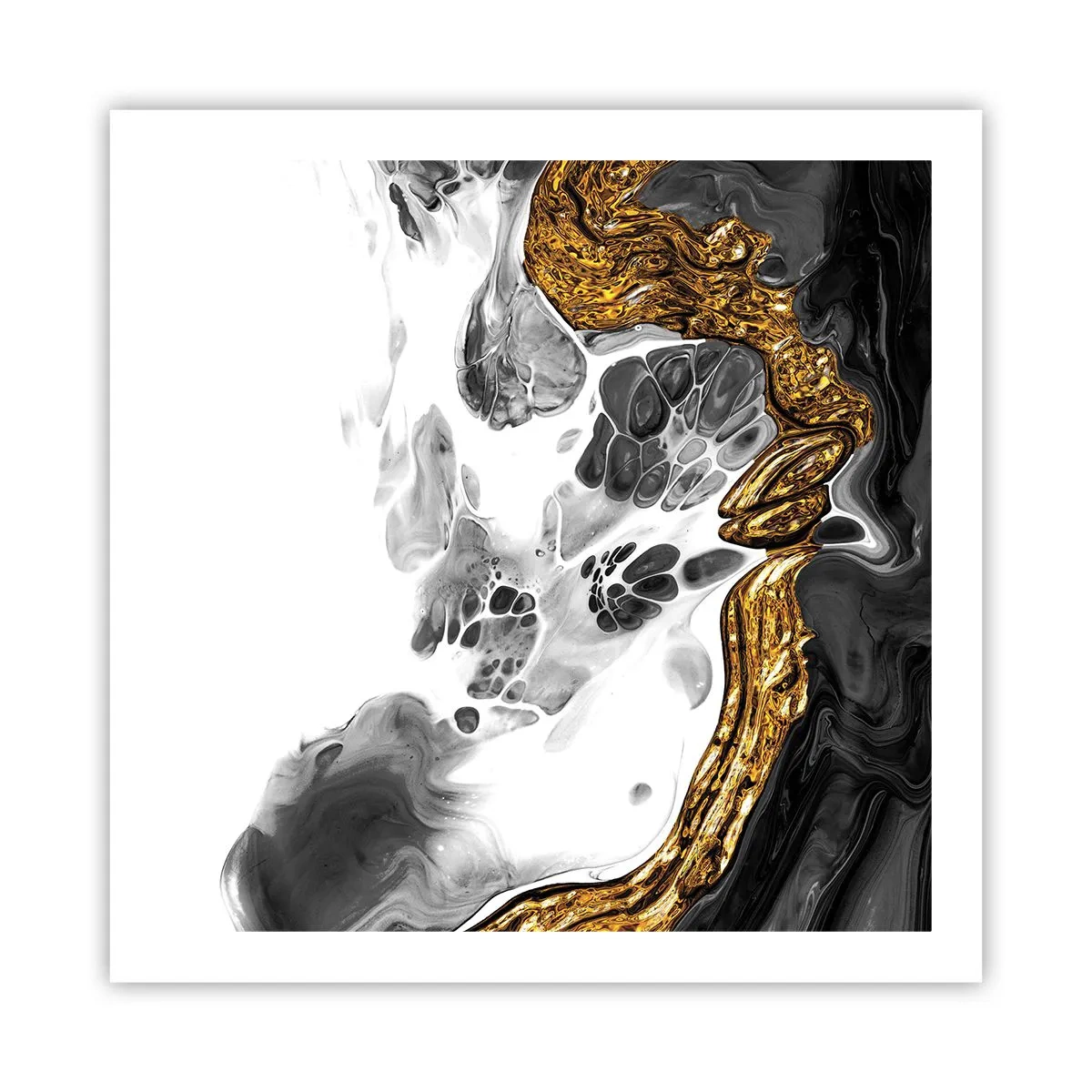 Poster - Compoziție organică - 60x60 cm