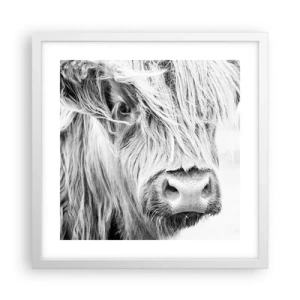 Poster în ramă albă - Sălbăticie scoțiană - 40x40 cm
