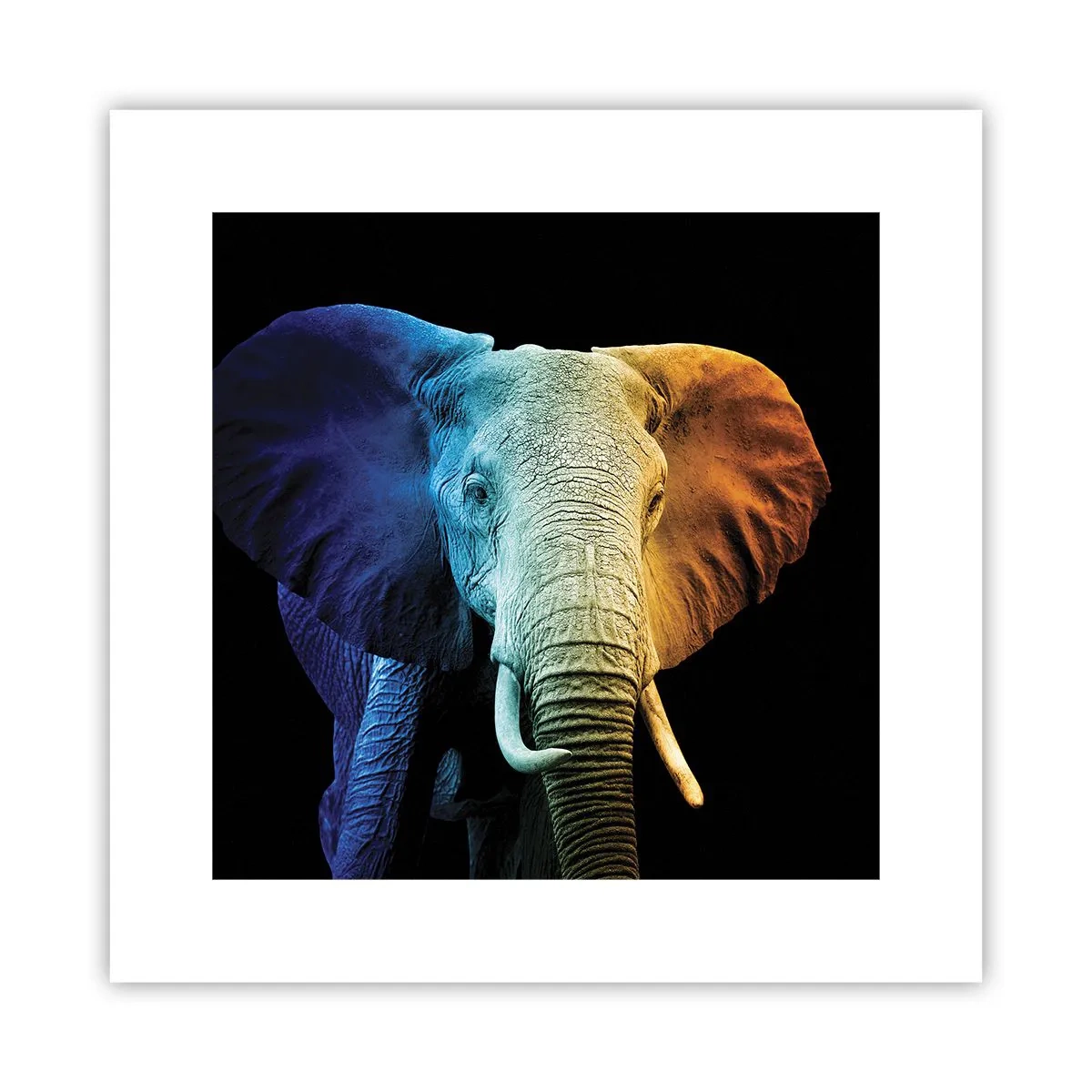 Poster - Excentric, nu ciudat - 30x30 cm