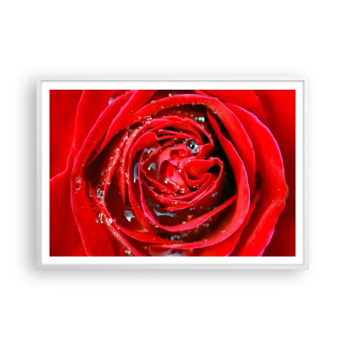 Poster în ramă albă - În picături de rouă - 100x70 cm