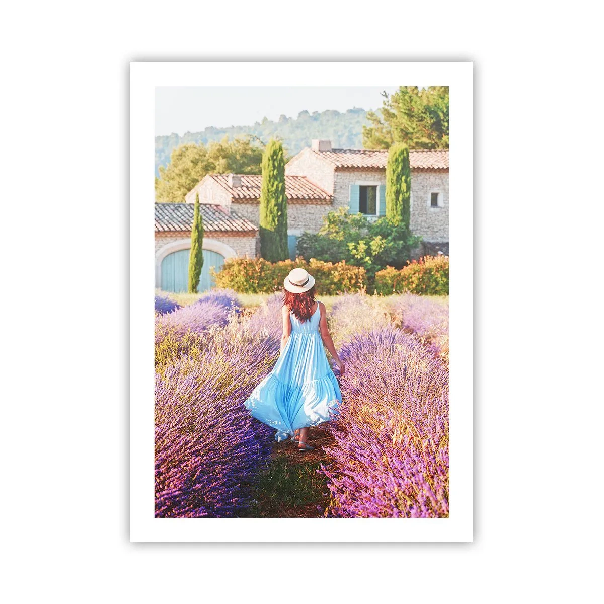Poster - Fata de lavandă - 50x70 cm