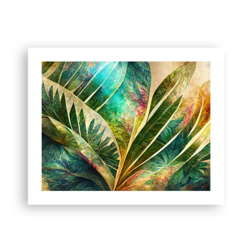 Poster - Culorile tropicelor - 50x40 cm