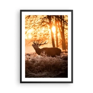 Poster în ramă neagră - Cerb în razele soarelui care răsare pe fundalul pădurii - 50x70cm - Visul unui vânător - Decorațiune modernă pentru perete pentru living și dormitor ARTTOR