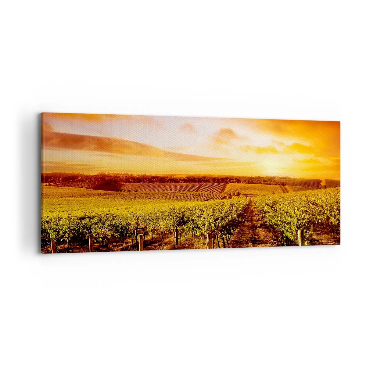 Tablou pe pânză - Cu un iz de fructe, cu o notă de soare - 120x50 cm