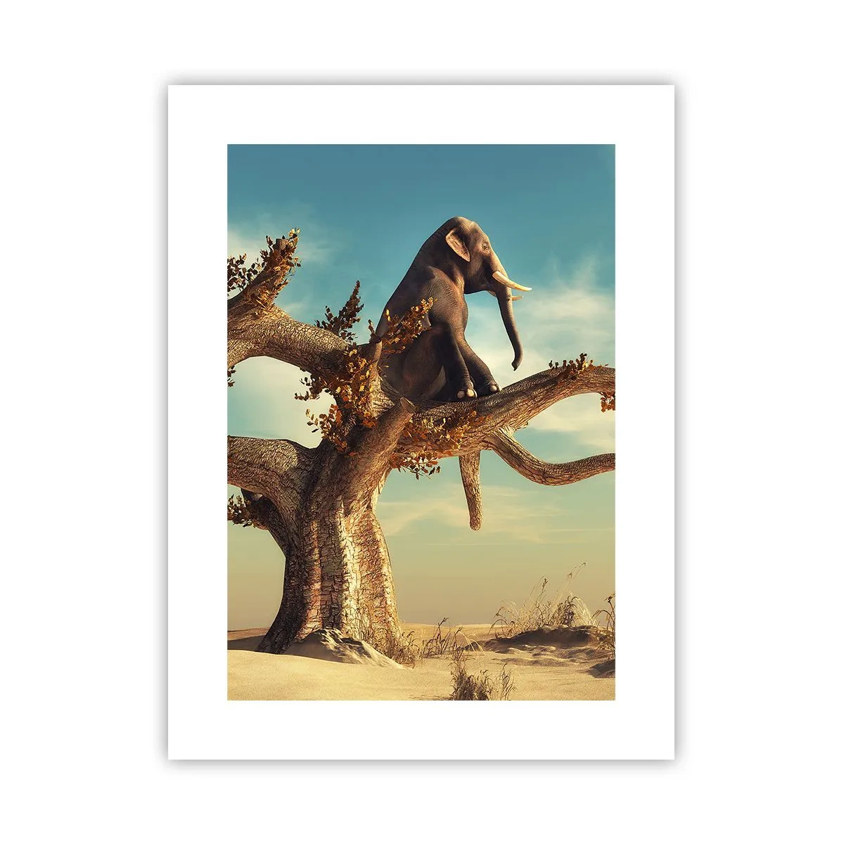 Poster - Un nou punct de vedere - 30x40 cm