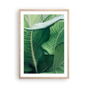 Poster în ramă de stejar deschis - Viață intensă în verde - 50x70 cm