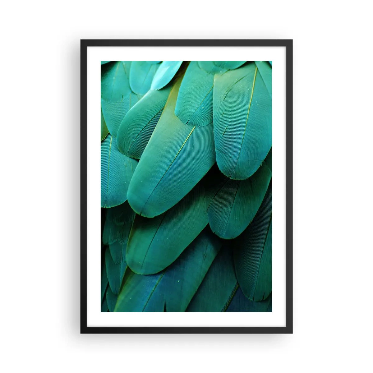 Poster în ramă neagră - Prim-plan al penelor verzi ale unei păsări exotice - 50x70cm - Precizia naturii papagalicești - Decorațiune modernă pentru perete pentru living și dormitor ARTTOR