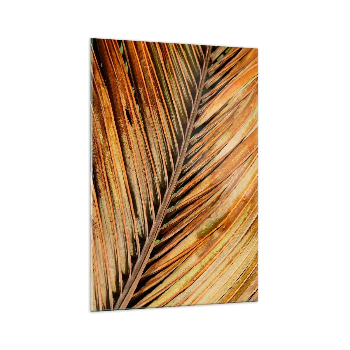 Tablou pe sticlă - Aur de nucă de cocos - 70x100 cm