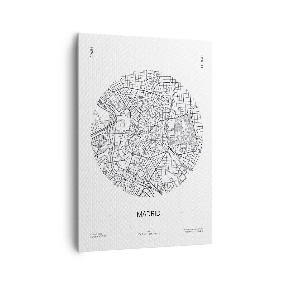 Tablou pe pânză - Anatomia Madridului - 70x100 cm