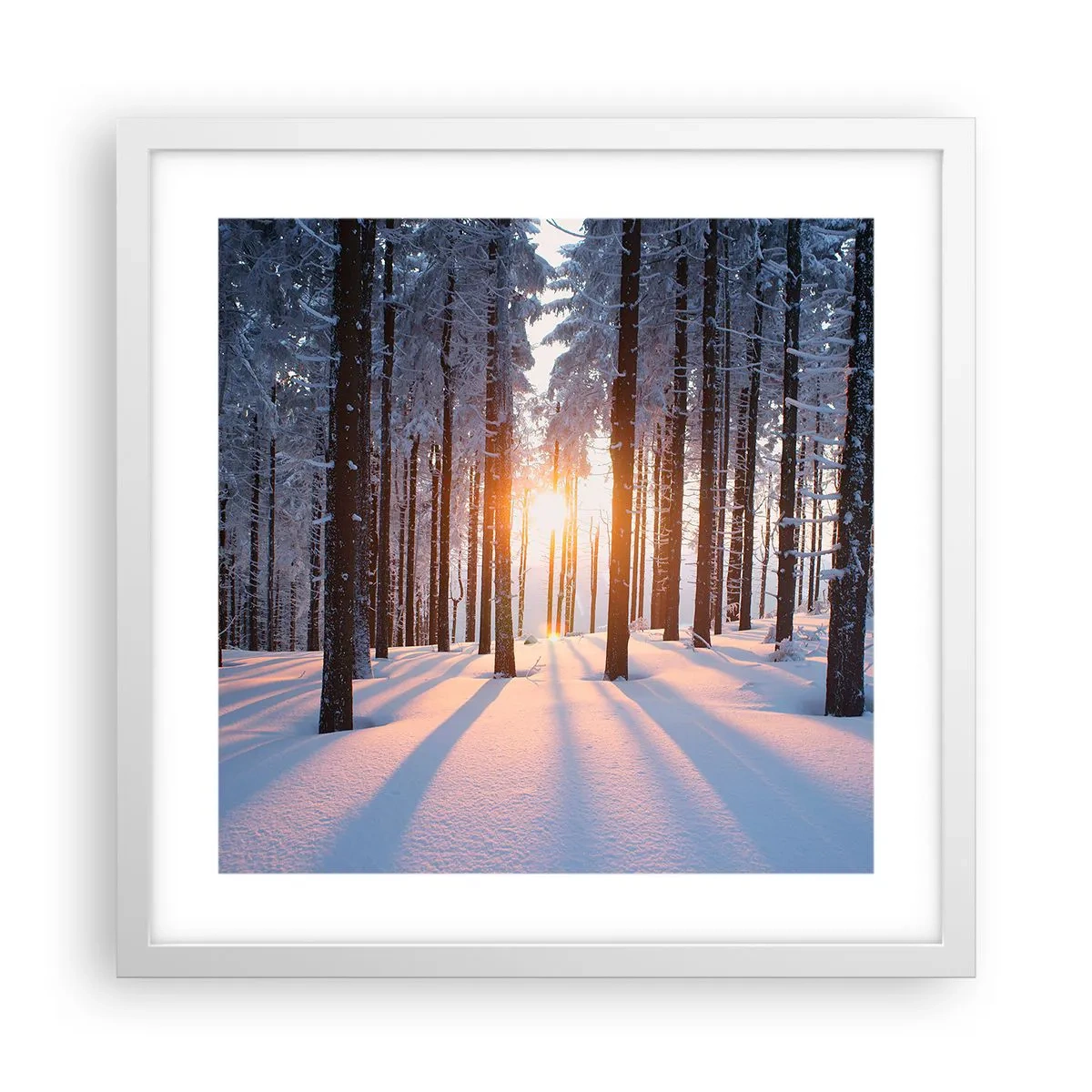 Poster în ramă albă - În mod clar în alb și negru - 40x40 cm