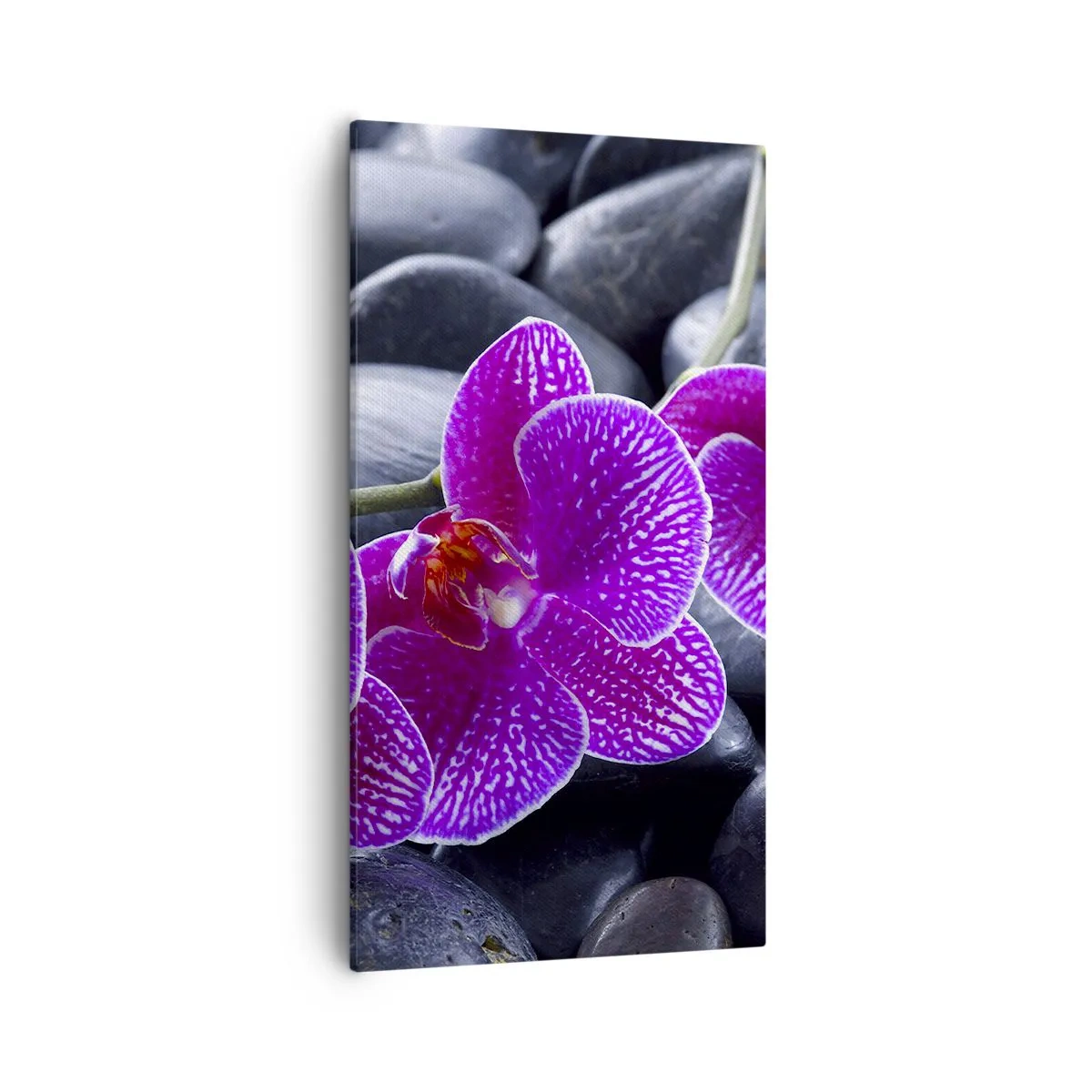 Tablou pe pânză - Pietrele s-au luminat de încântare - 55x100 cm