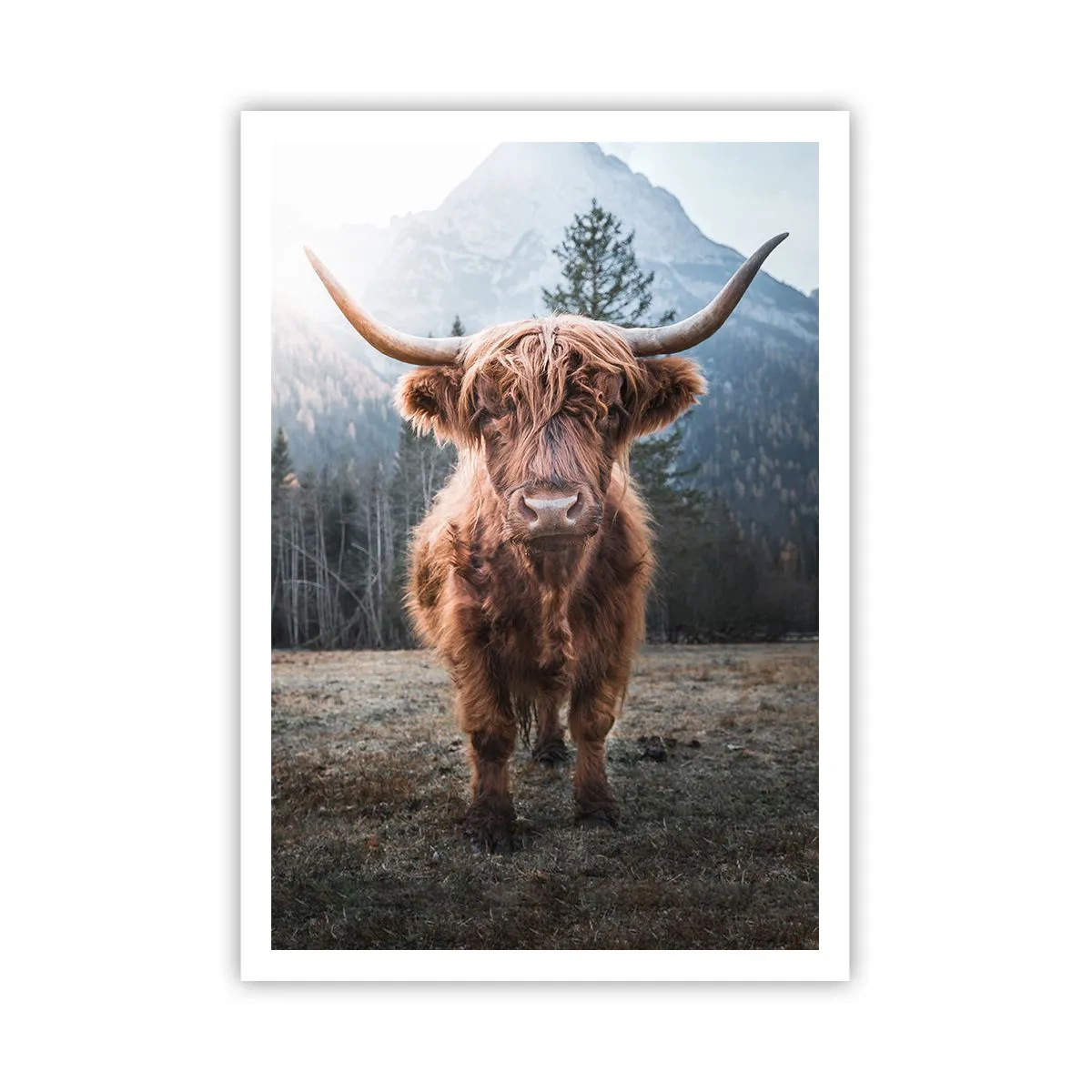 Poster - Salutări de pe o pajiște de munte - 70x100 cm