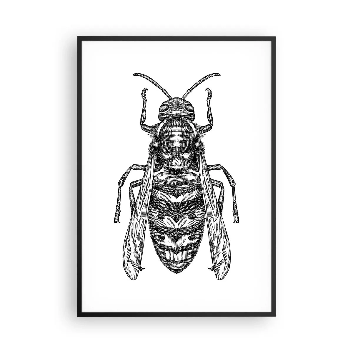 Poster în ramă neagră - De pe o planetă de insecte - 70x100 cm