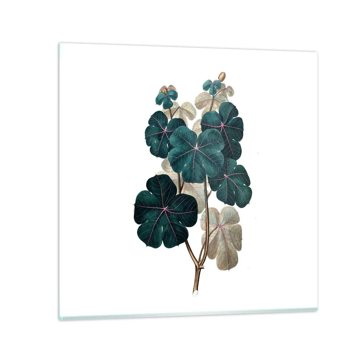 Tablou pe sticlă - Dintr-un vechi ierbar - 50x50 cm