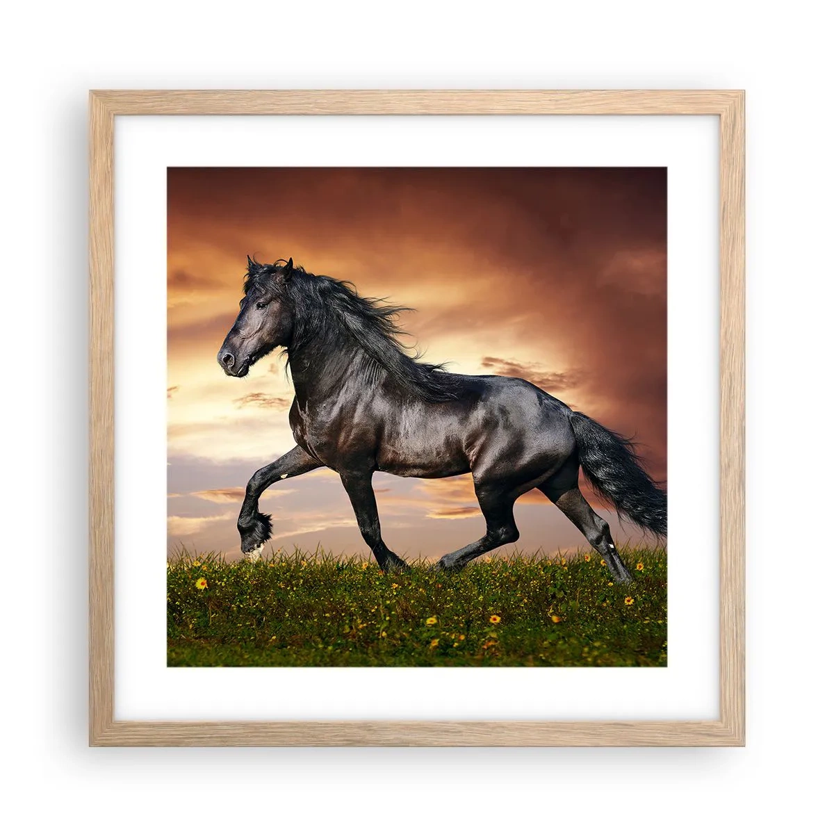 Poster în ramă de stejar deschis - Prințul negru - 40x40 cm