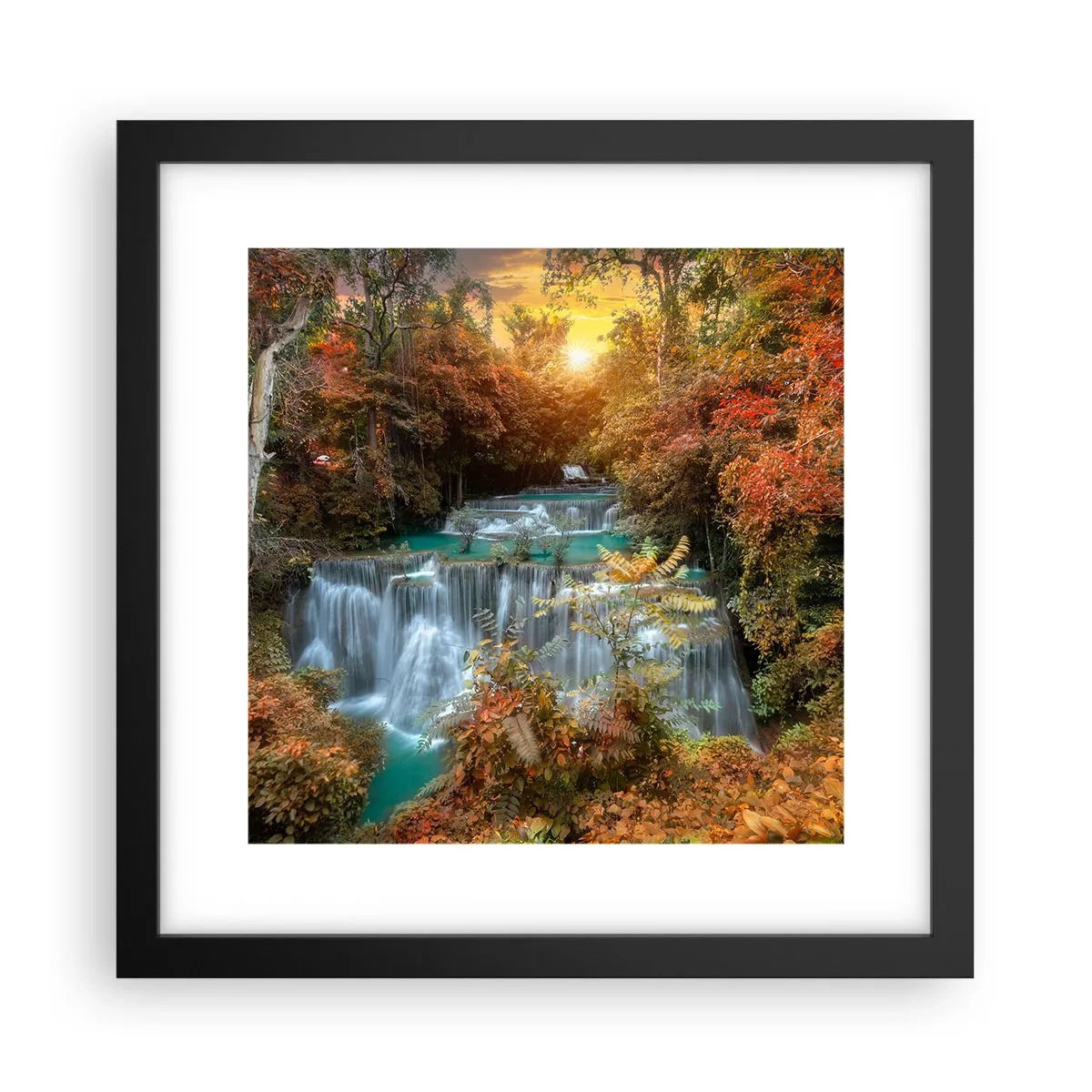 Poster în ramă neagră - Comoara ascunsă a pădurii - 30x30 cm