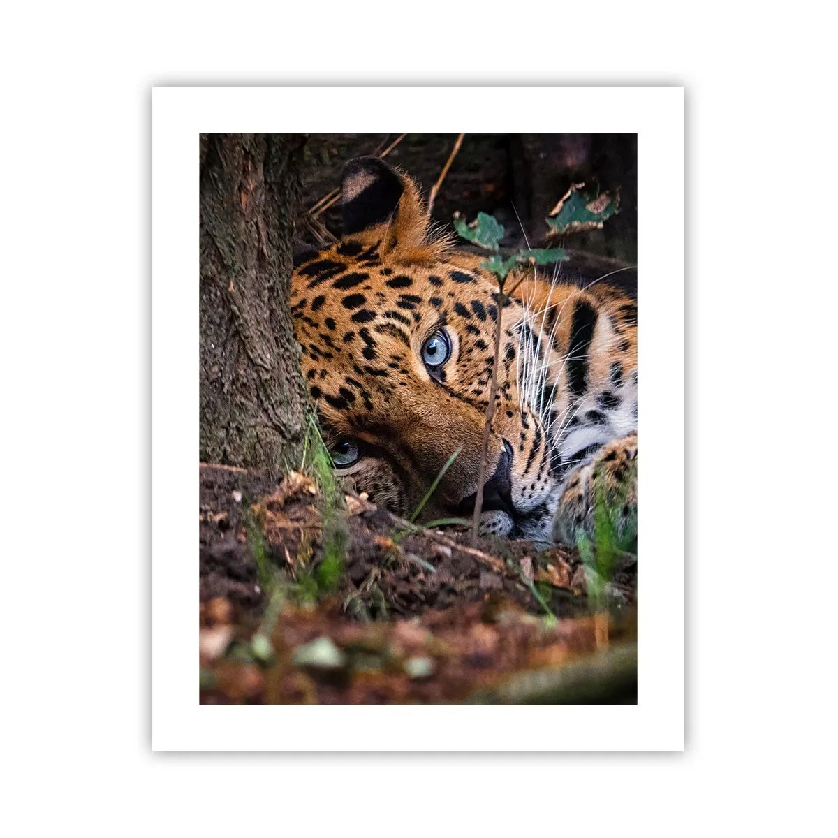 Poster - Să ai încredere în mine - 40x50 cm