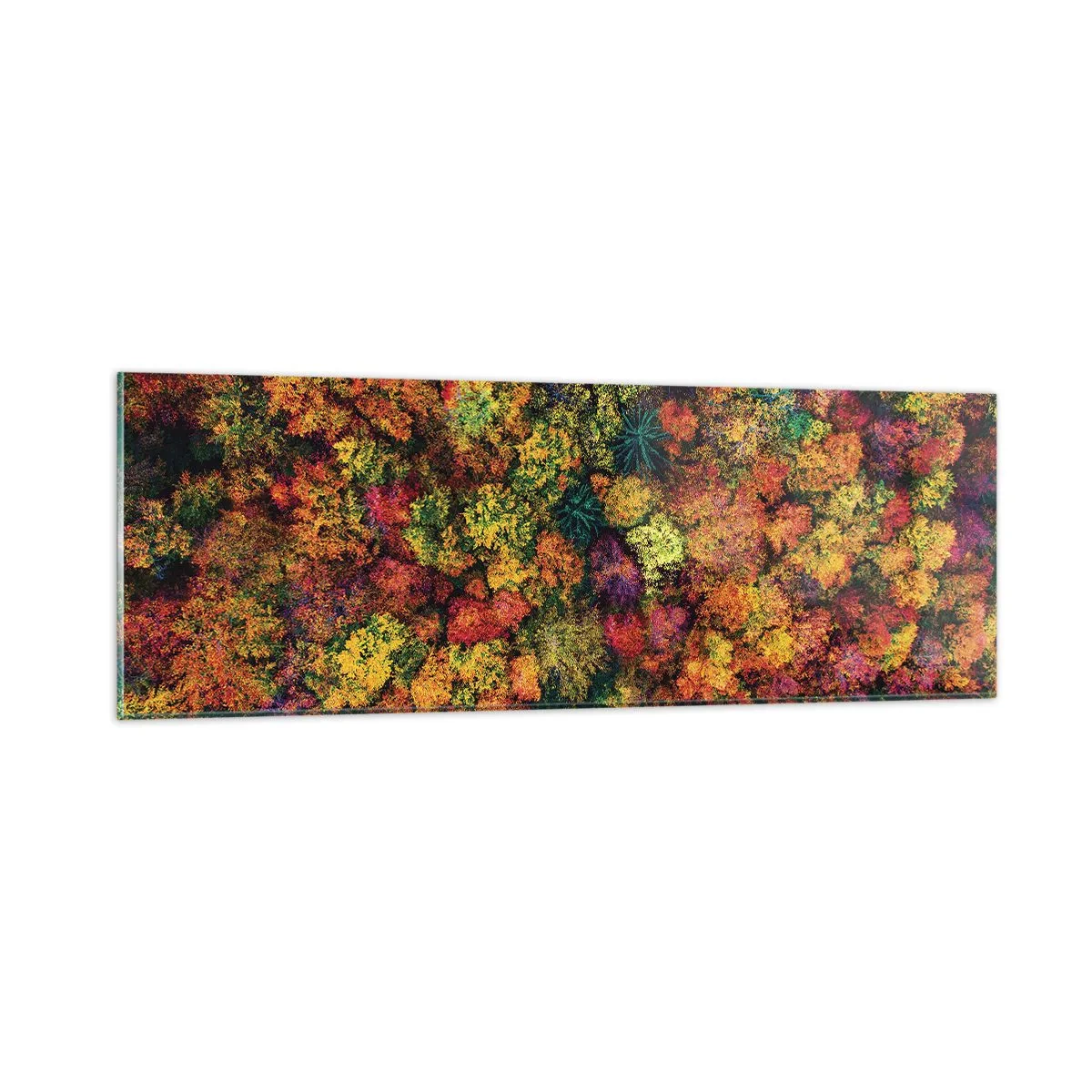 Tablou pe sticlă - Buchet de copaci de toamnă - 90x30 cm