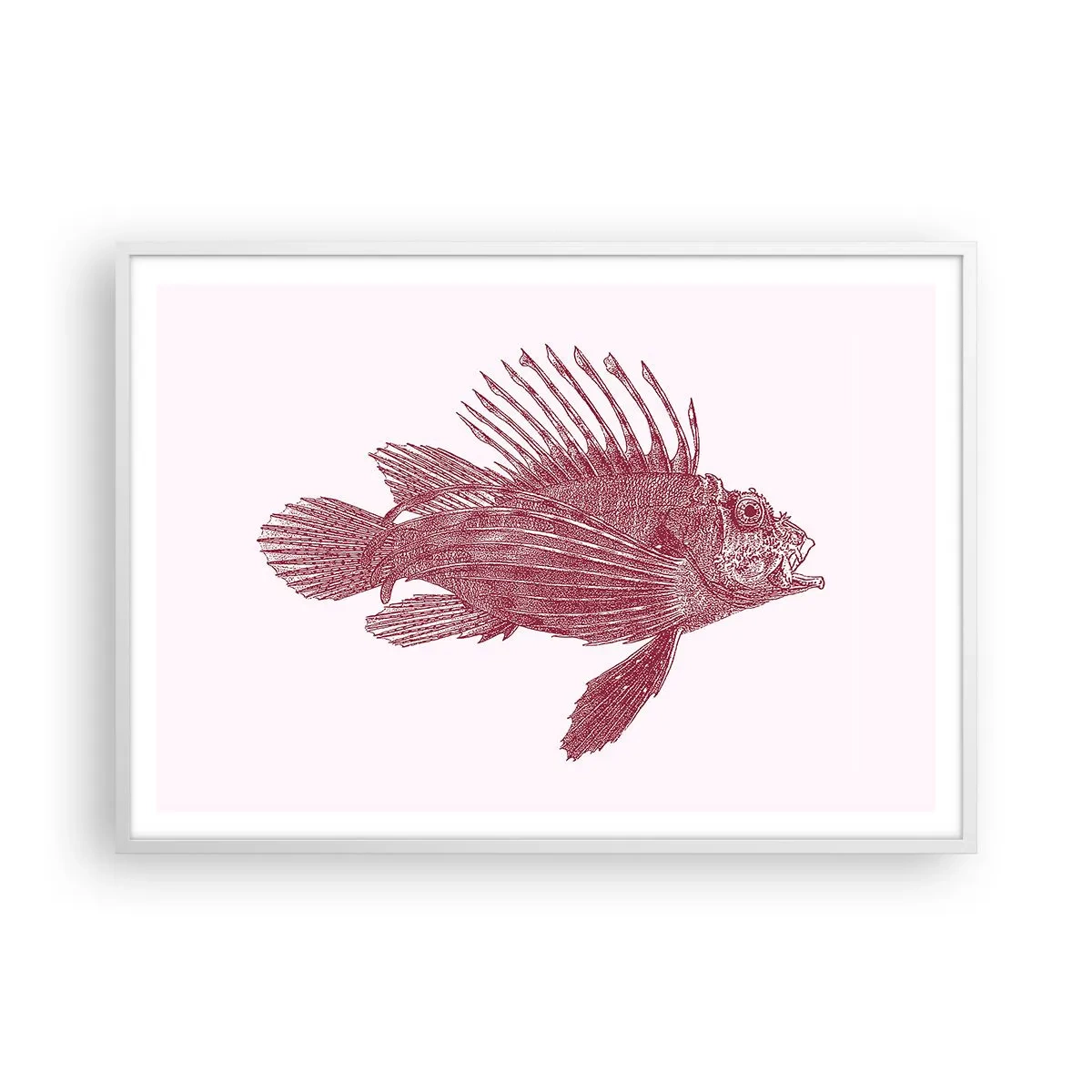 Poster în ramă albă - Un locuitor al apelor exotice - 100x70 cm